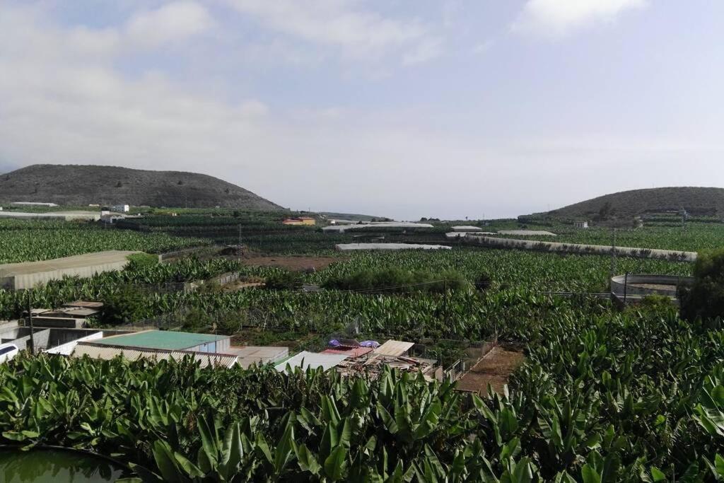 Bonito Y Amplio Piso En Los Llanos De Aridane Luaran gambar